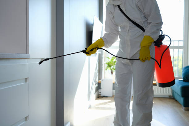 Best Toxic Mold Removal  in Manor, PA
