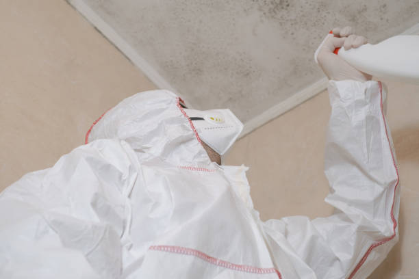 Best Certified Mold Removal  in Manor, PA