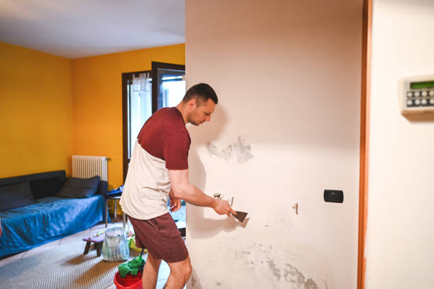 Best Home Mold Removal  in Manor, PA